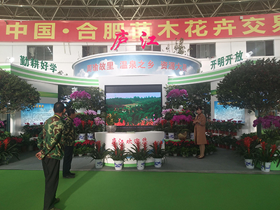2017中国·合肥苗木花卉交易大会于肥西花木城举行开幕巡馆