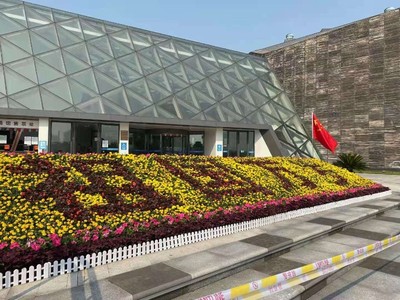 天津绿植租摆 天津绿植租赁公司