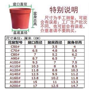 【花卉营养杯价格】最新花卉营养杯