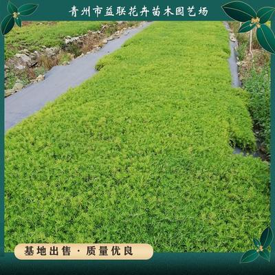 全国各行业企业/工厂_全国各行业供应商
