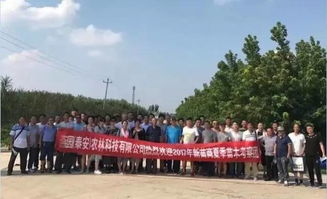 甘肃金昌 戈壁滩上的 花木工厂
