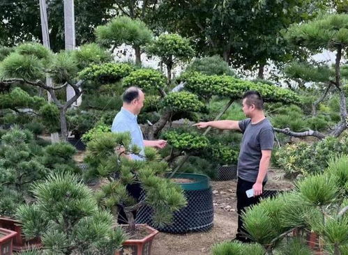 建行常州武进支行 贷 动乡村特色产业发展