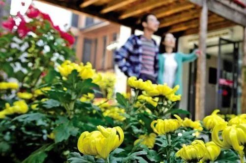 养花赏花 有益健康长寿