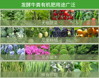 腐熟牛屎做肥料该选哪种牛粪发酵剂