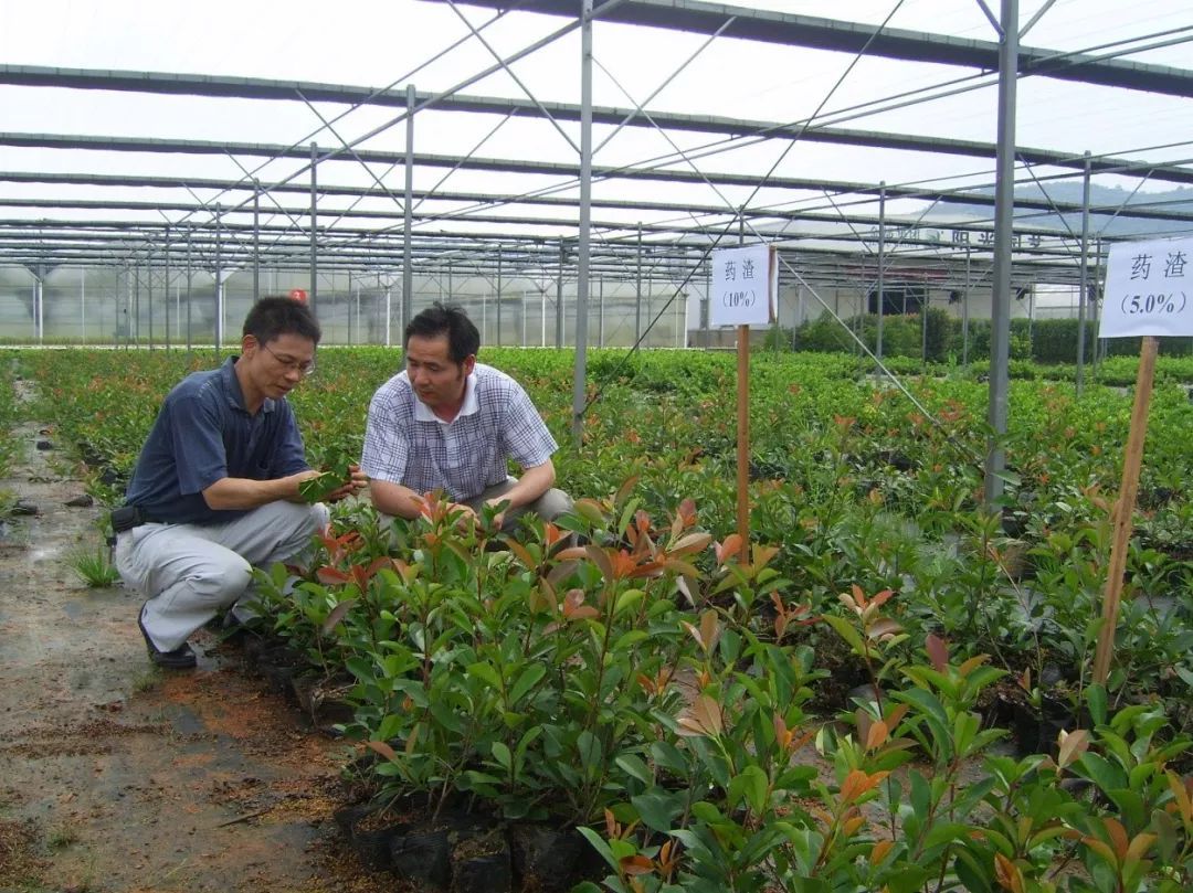 强!花卉苗木生态种植,绿色阳光农业生态公司给你作示范