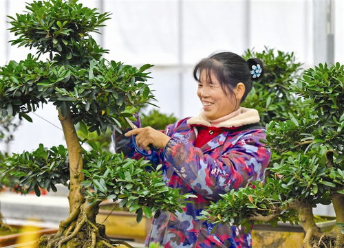 幻灯