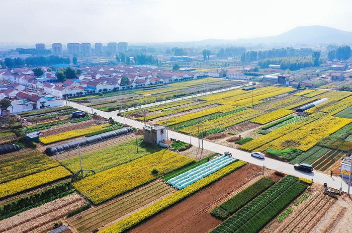 邹平市好生街道围绕打造省级乡村振兴齐鲁样板示范区持续发力