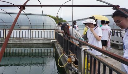 【青春实践】感悟劳模峥嵘岁月,展望农场未来发展