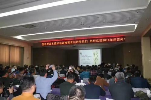 甘肃金昌 戈壁滩上的 花木工厂