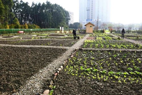 聚焦高品质城市空间示范区建设,这个会议这样强调