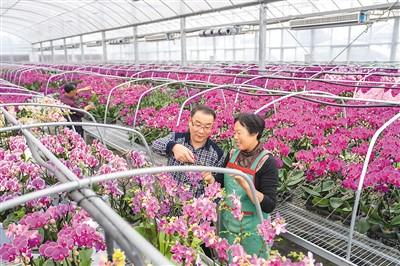 小院 里有大文章 一号文件连连看⑥