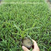 【潍坊昌邑产品库】_价格/图片/厂家 - 山东产品库