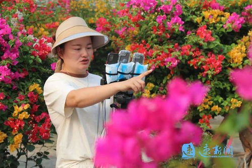 沭阳查办花木种苗领域案件317起