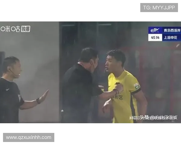安布罗西尼点评张呈栋染红事件:边裁判错但球员不应辱骂裁判 安布罗西尼点评张呈栋染红事件:边裁判错但球员不应辱骂裁判